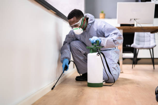 Best Residential Pest Control  in Ethete, WY